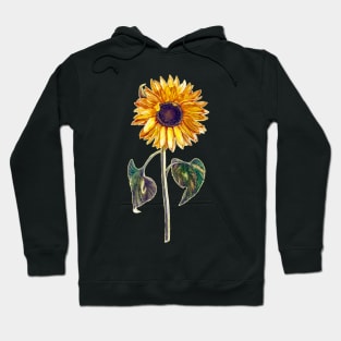 Sunflowers Hoodie